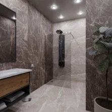 Душевое ограждение Radomir Walk-in 100 100х80-120 см, хром/ прозрачное