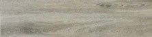 Керамогранит Евро-Керамика Венеция Бежевый матовый 8мм 0045