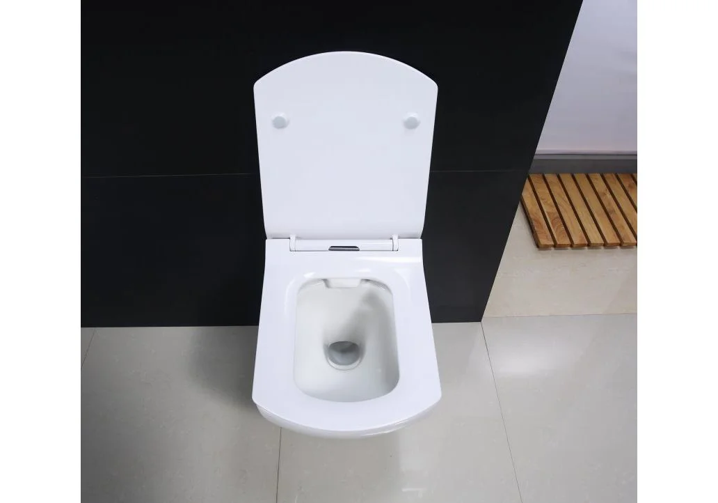 Приобрести унитаз подвесной безободковый belbagno carina bb514chr