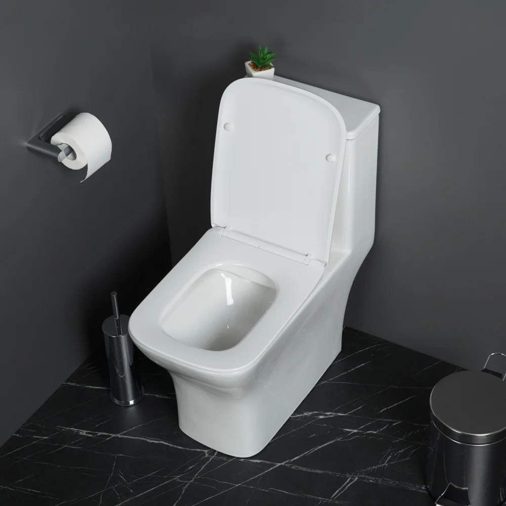 Приобрести belbagno унитаз-моноблок с сиденьем neon, белый bb8617cpr-mn/sc