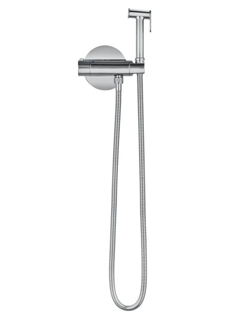 Приобрести смеситель с гигиеническим душем и термостатом встраиваемый wonzon & woghand, хром (ww-88819902-cr)