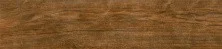 Плитка напольная Alma Ceramica Timber Brown