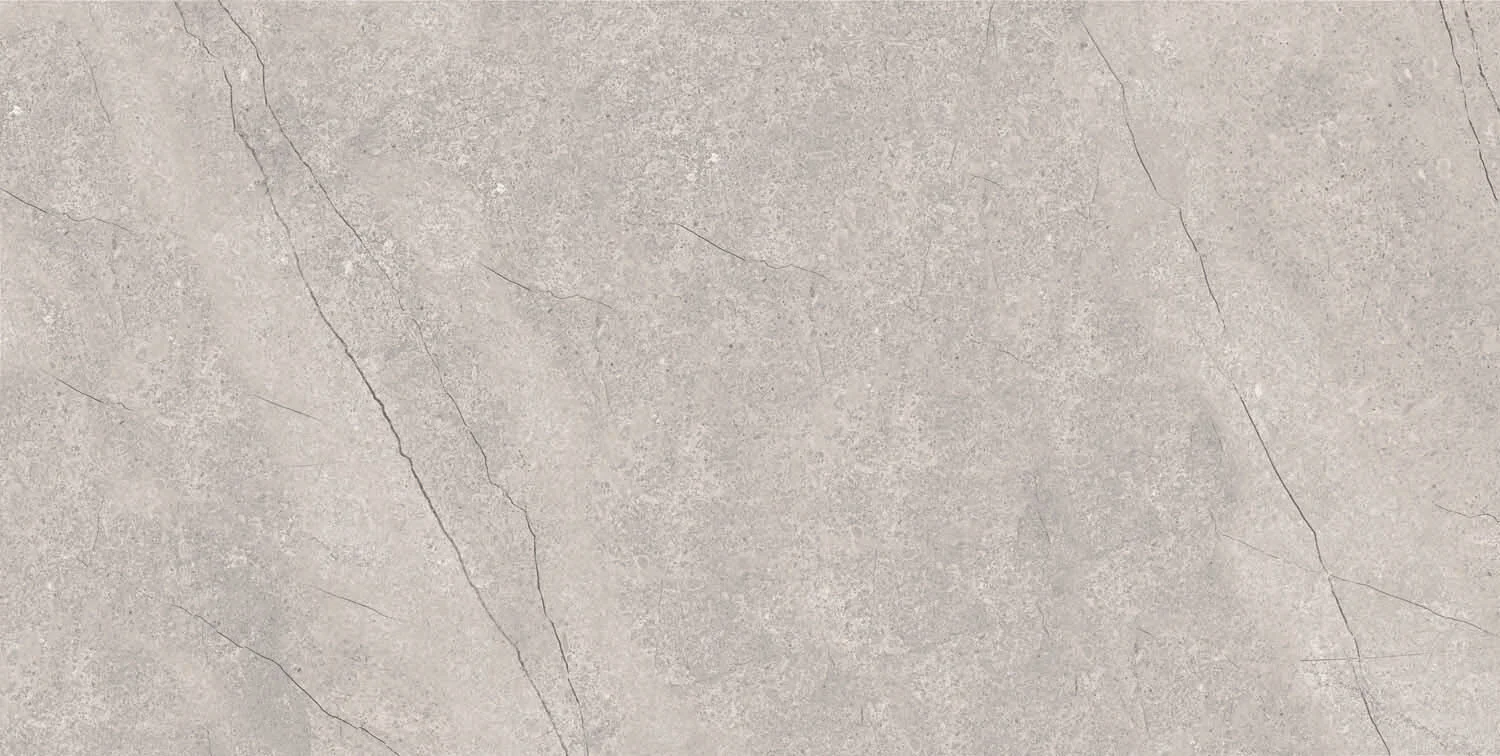 Приобрести керамический гранит azario fossil grey 60х120 matt