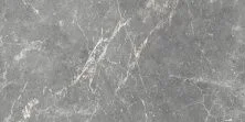 Global Tile Плитка керамическая Capella GT Сер. 50*25 _ 1 \74,25 GT99VG