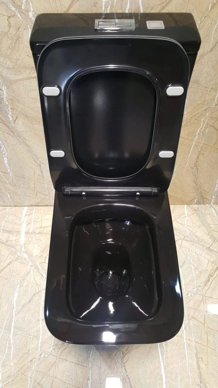 Приобрести унитаз напольный, безободковый с сиденьем ceramalux rimless ns-2170-18