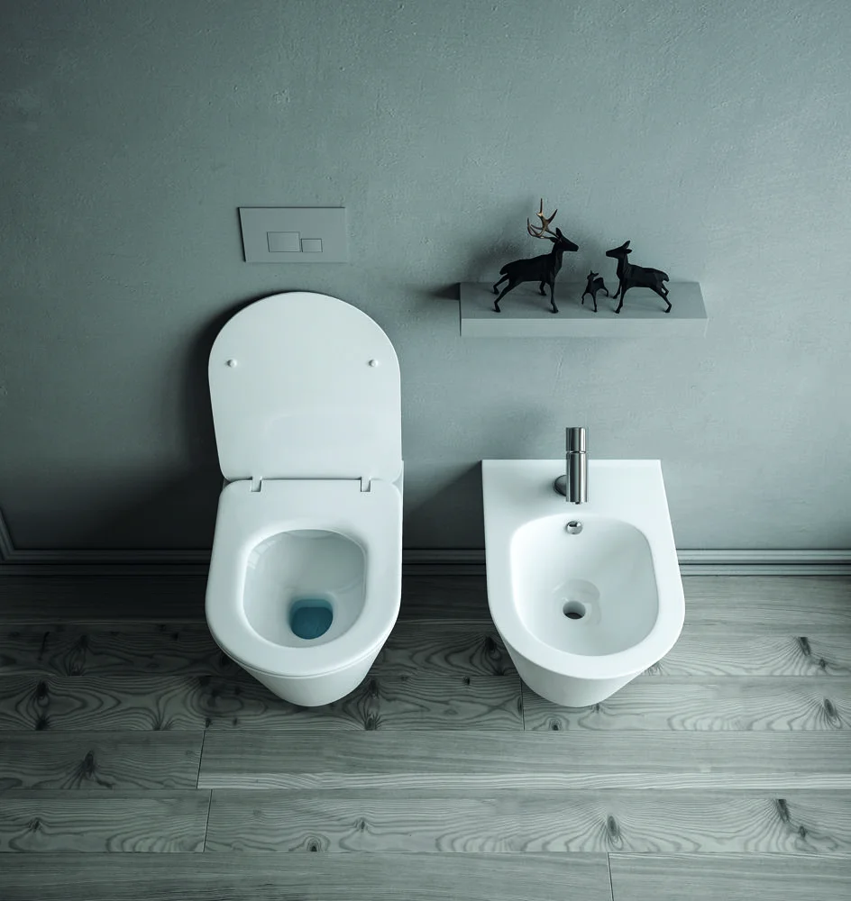 Приобрести boheme подвесной унитаз с биде avva bello, белый матовый 972-2-mw