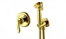 LEMARK Смеситель Brava с гигиеническим душем, скрытый монтаж, золото LM4719G