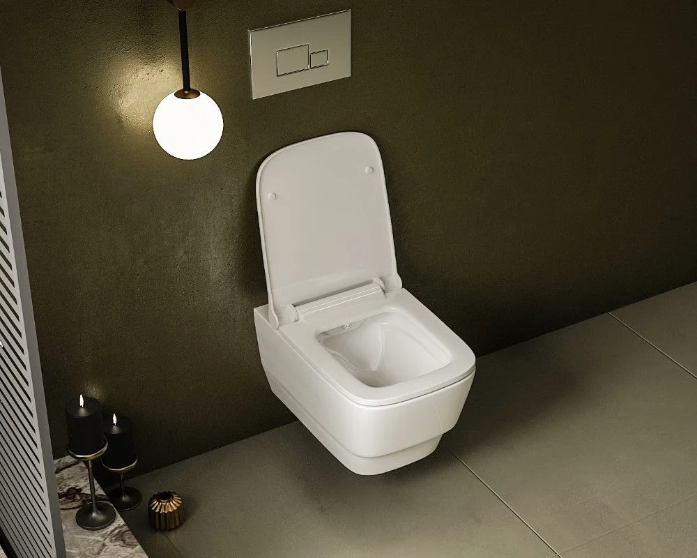 Приобрести boheme подвесной унитаз с биде avva bello, белый матовый 971-2-mw