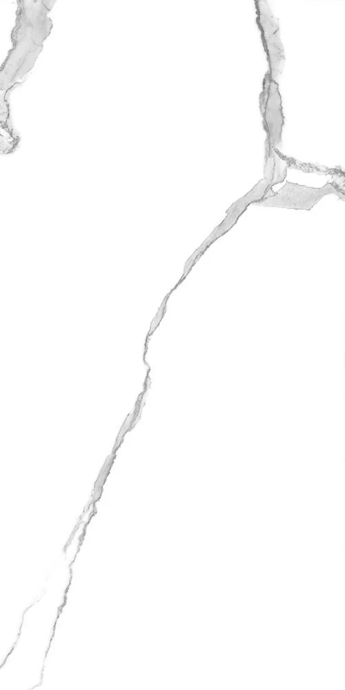 Приобрести global tile керамогранит anima_gt бел. 60x120 полир._ 1\46,08 gt120601503pr