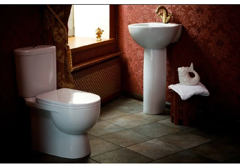 Приобрести напольный унитаз-компакт sanita luxe art luxe + сиденье с крышкой микролифт