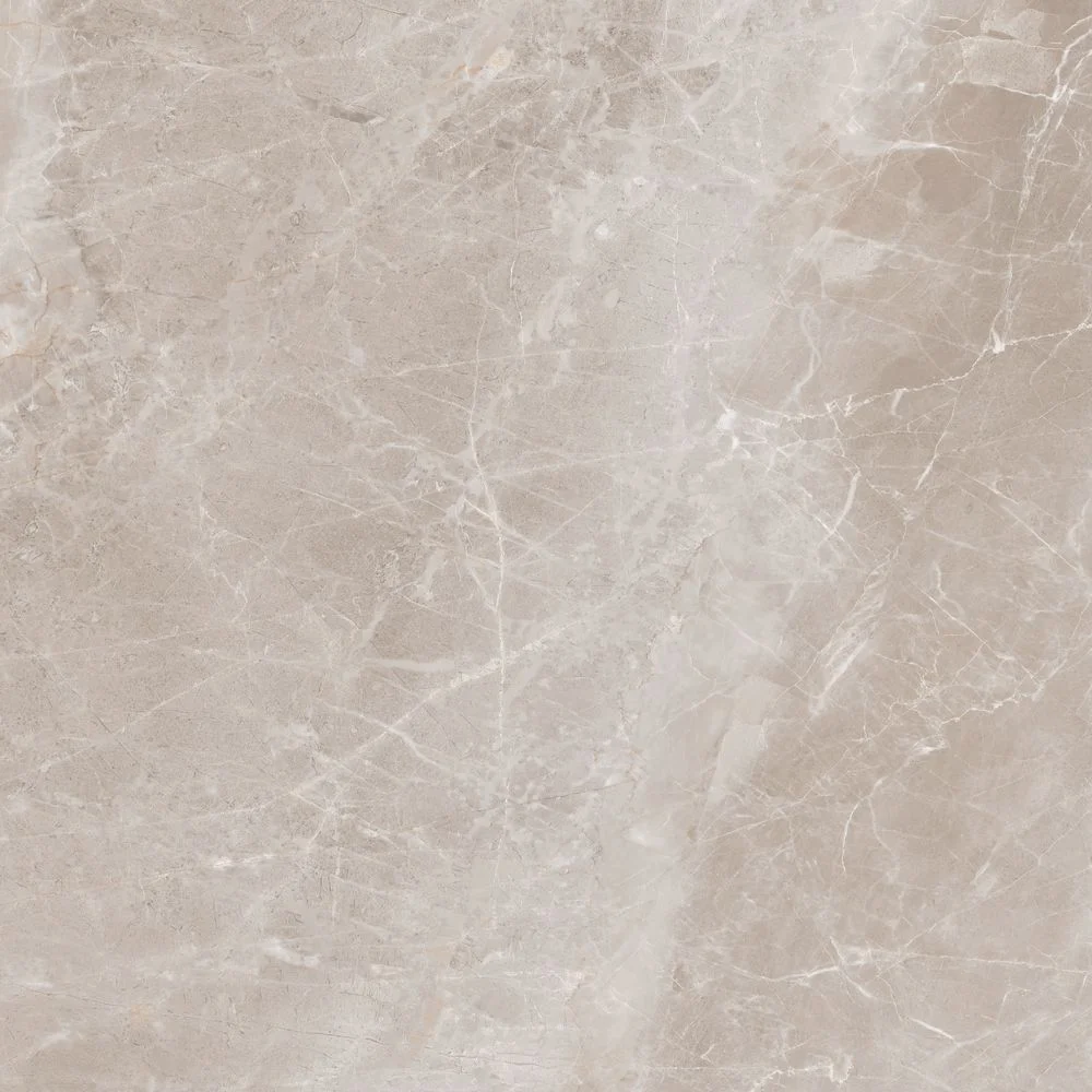 Приобрести global tile керамогранит accord_gt серо-беж. 60x60 полир._ 1\51,84 gt60607215pr