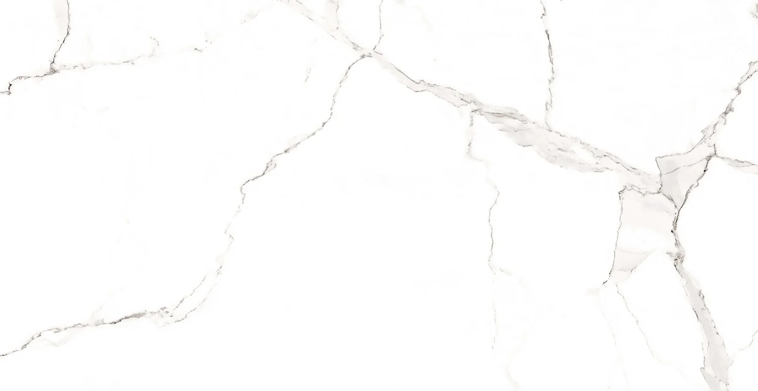 Приобрести керамический гранит azario statuario classic 60х120 matt