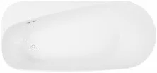 Отдельностоящая акриловая ванна Allen Brau Priority 170x80 2.31001.21 (матовая)