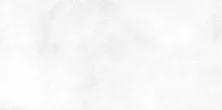 Плитка настенная Alma Ceramica Richard Crema 249x500, белая TWU09RCD000