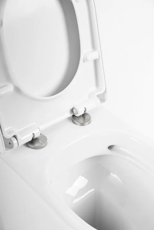 Приобрести унитаз приставной безободковый belbagno marino bb105cbr