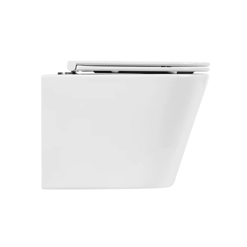 Приобрести belbagno унитаз безободковый подвесной flay-r с сиденьем дюропласт, микролифт, белый bb053chr/bb870sc