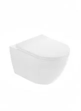 Унитаз подвесной безободковый WONZON & WOGHAND NILE, белый матовый (WW-UP2210-MW)