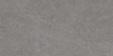 Плитка напольная Kerama Marazzi Роверелла Пепельный обрезной 60х119,5