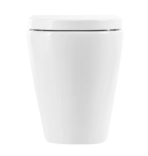 Приобрести унитаз приставной безободковый belbagno marino bb105cbr