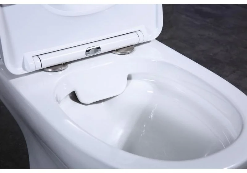 Приобрести унитаз-компакт безободковый belbagno steam, bb130cpr