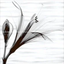 Панно настенное Alma Ceramica Esta 498x500 из 2 х частей, черно белое PWU09EST1
