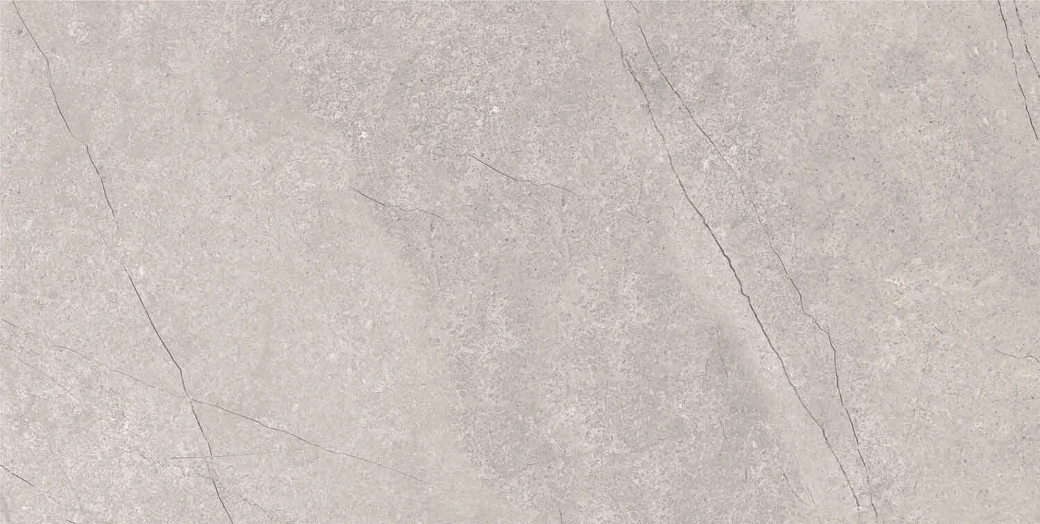 Приобрести керамический гранит azario fossil grey 60х120 matt