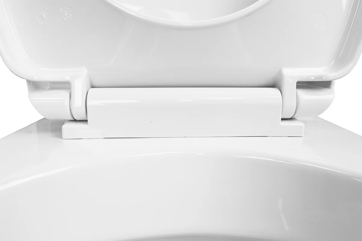 Приобрести loranto инсталляция + унитаз подвесной project в комплекте с быстросъемным сиденьем микролифт (4501+pr1100n)