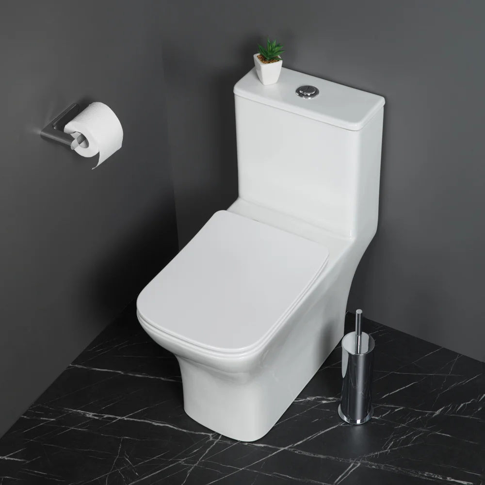 Приобрести belbagno унитаз-моноблок с сиденьем neon, белый bb8617cpr-mn/sc