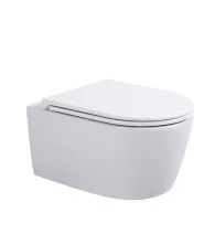 Sintesi Подвесной безободковый унитаз DANTE с крышкой-сиденьем дюропласт, микролифт