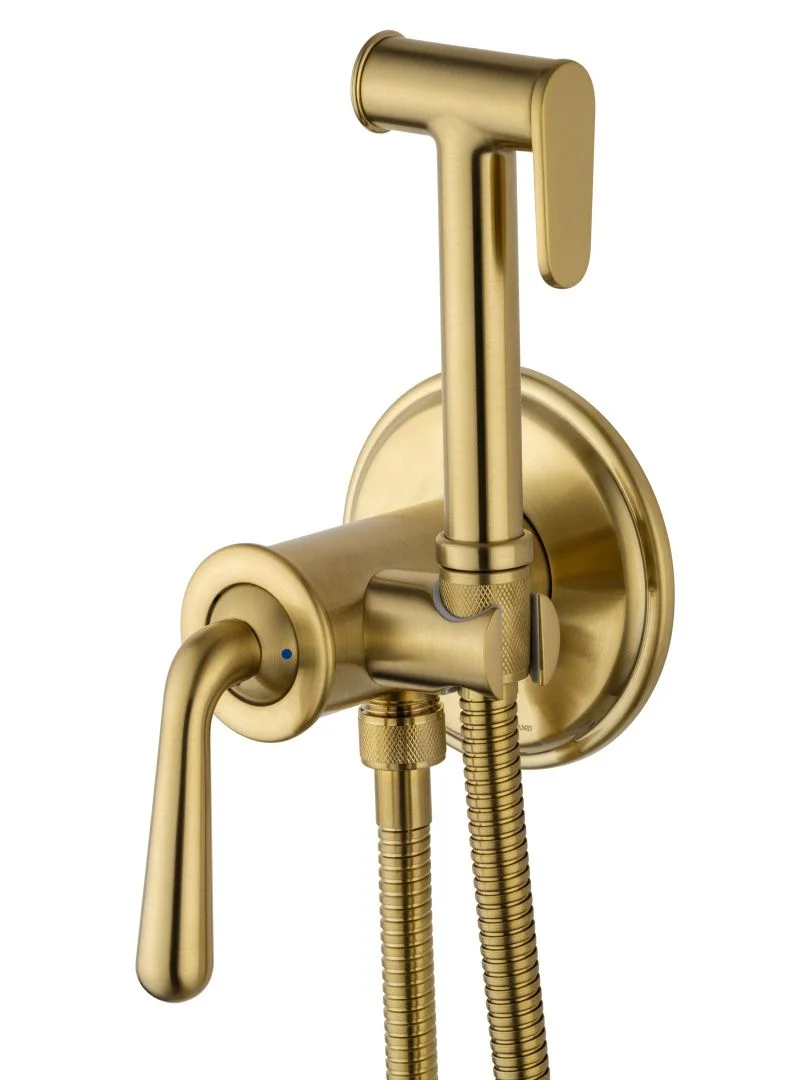 Приобрести смеситель с гигиеническим душем встраиваемый wonzon & woghand steam, брашированное золото (ww-88829008-bg)