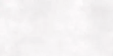 Плитка настенная AltaCera Santos Light 24.9*50 белая WT9ISL15