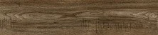 Плитка напольная Alma Ceramica Almond 200x900, коричневый GFA92AMD47R