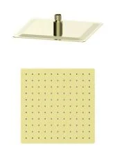 Верхний душ WONZON & WOGHAND, Брашированное золото (WW-88DP02-BG)