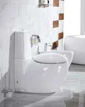 Унитаз напольный с сиденьем CeramaLux 2451
