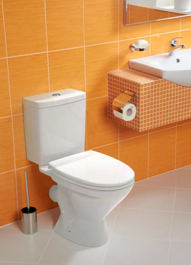 Приобрести santek унитаз-компакт "лига" с сидением стандарт