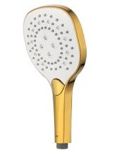 Душевая лейка WONZON & WOGHAND, Темное золото (WW-981358-DG)