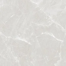 Керамический гранит AZARIO SMOKEY GREY 60х60 Glossy