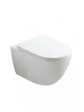 Унитаз подвесной безободковый WONZON & WOGHAND NILE, белый глянцевый (WW-UP2210-GW)