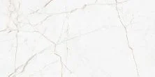 Global Tile Керамогранит Antares_GT Бел. 30x60 1\58,32 GT226VG