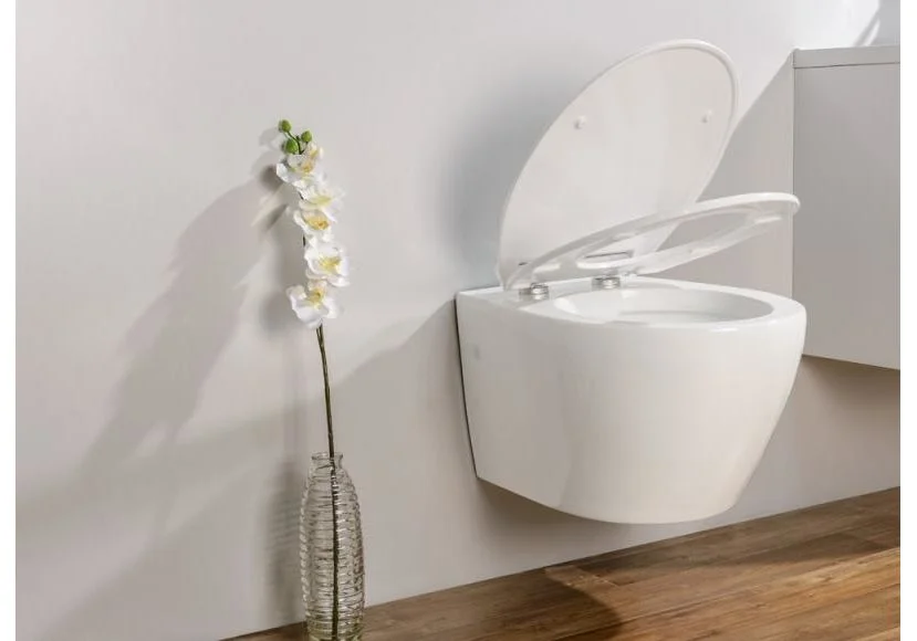 Приобрести унитаз подвесной belbagno prospero bb507b