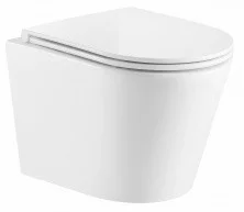 Azario Унитаз подвесной Fonti, безободковый с тонкой крышкой микролифт AZ-402W