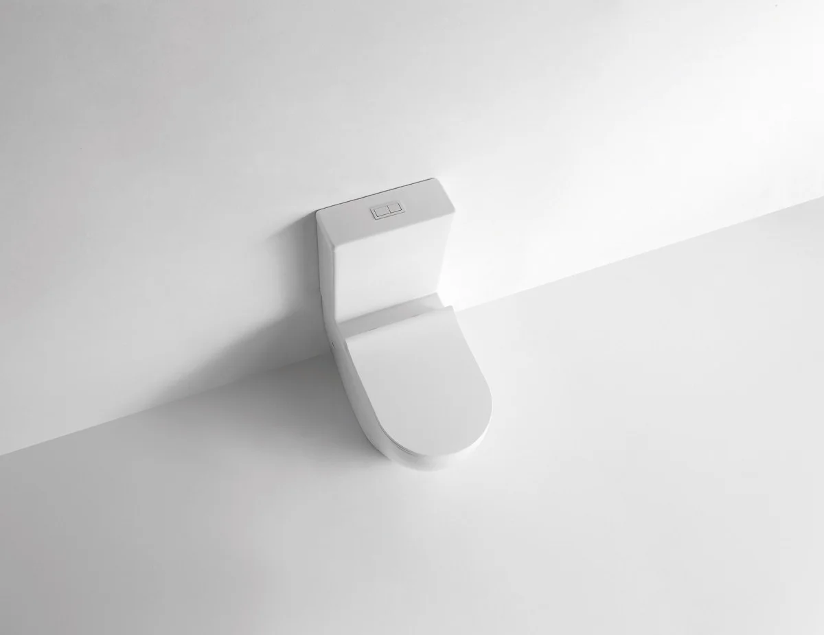 Приобрести унитаз напольный, безободковый с сиденьем ceramalux tornado ns-2176