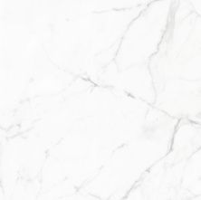 Global Tile Керамогранит Elegant Statuario_GT Бел. 60x60 полир._ 1\51,84 GT60604803PR