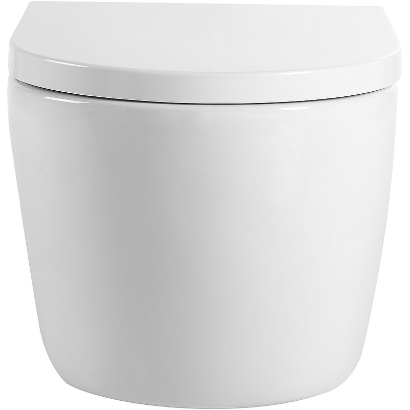 Приобрести aquanet подвесной унитаз zv-2 белый