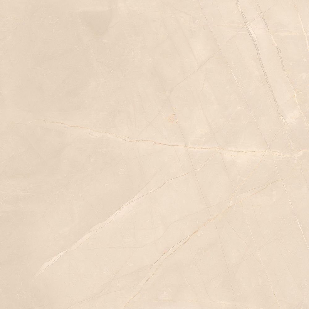 Приобрести global tile керамогранит armany_gt светло-беж. 60x60 полир._ 1\48,96 gt60606907pr