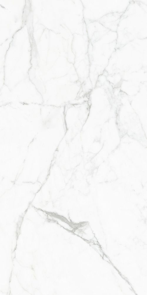 Приобрести global tile керамогранит elegant statuario_gt бел. 60x120 полир._ 1\43,2 gt120604803pr