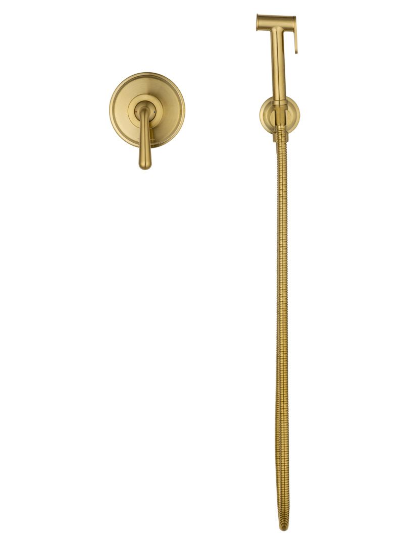 Приобрести смеситель с гигиеническим душем встраиваемый wonzon & woghand steam, брашированное золото (ww-88849008-bg)