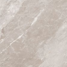 Global Tile Керамогранит Accord_GT Серо-беж. 60x60 полир._ 1\51,84 GT60607215PR