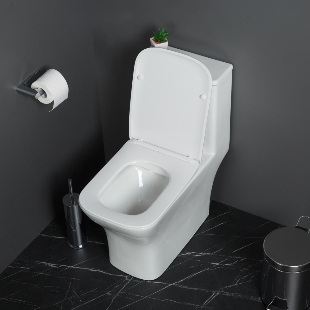 Приобрести belbagno унитаз-моноблок с сиденьем neon, белый bb8617cpr-mn/sc