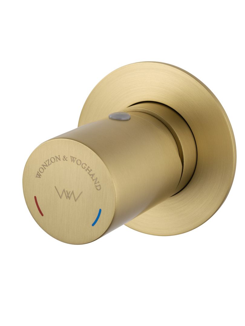 Приобрести смеситель для раковины встраиваемый wonzon & woghand, брашированное золото (ww-105-bg)